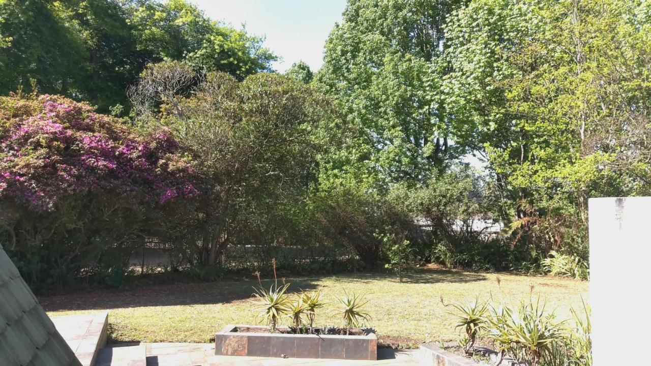 Serenity Graskop, 3 Bedroom A-Frame Cottage Buitenkant foto